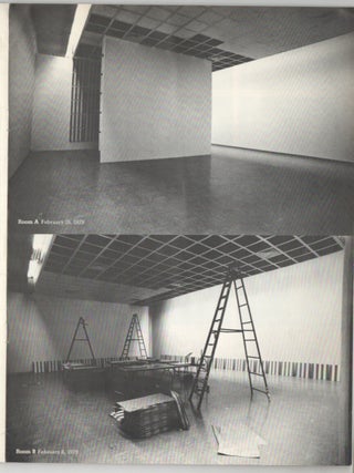 Frost and Defrost: A Work in Situ by Daniel Buren