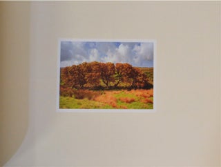 Here Comes Everybody: Chris Killip's Irish Photogaphs (Signed First Edition)