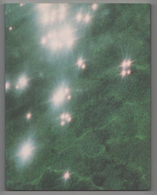 Item #213054 Felix Gonzalez-Torres. Felix GONZALEZ-TORRES, Joseph Kosuth, bell hooks, Ann...