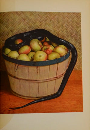 Photographing in Color