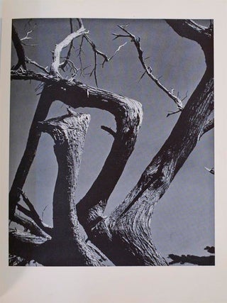 Edward Weston 50 Photographs (Signed Limited Edition)