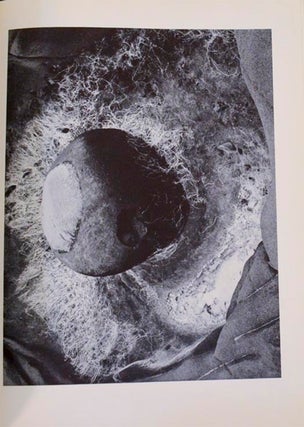Edward Weston 50 Photographs (Signed Limited Edition)