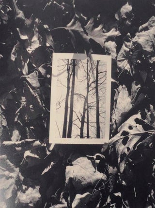 Selected Photographs (Signed Limited Edition)